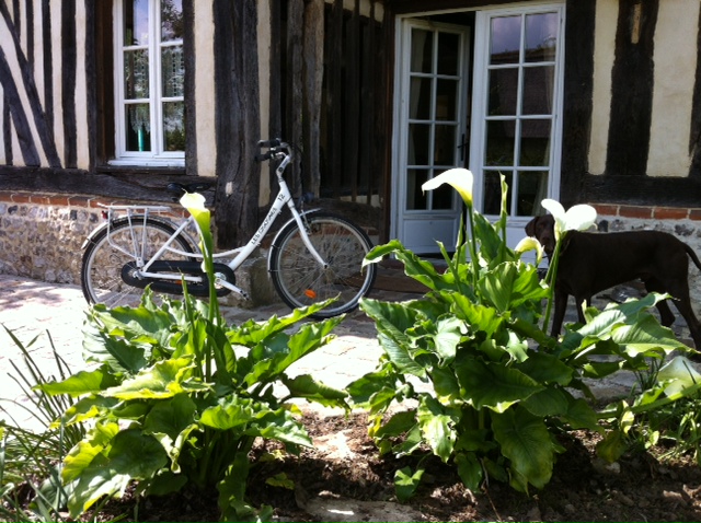 Location de vélos dans le Marais-Vernier