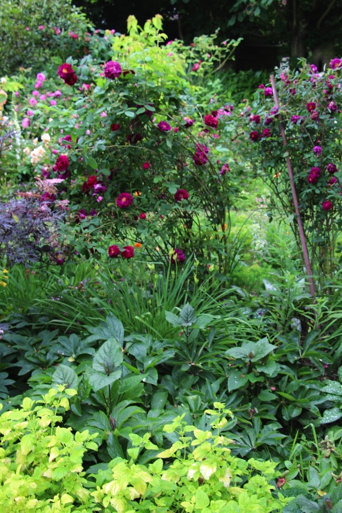 Jardin Chasse Spleen